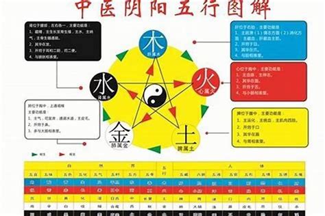 琁五行|铫字的五行属性